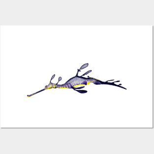 Sea Dragon, Watercolour Illustration Posters and Art